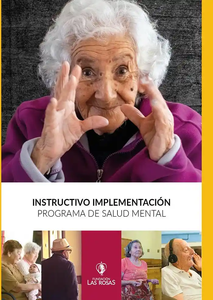 Instructivo Implementacion Programa de S