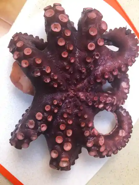 Pulpo Cocido