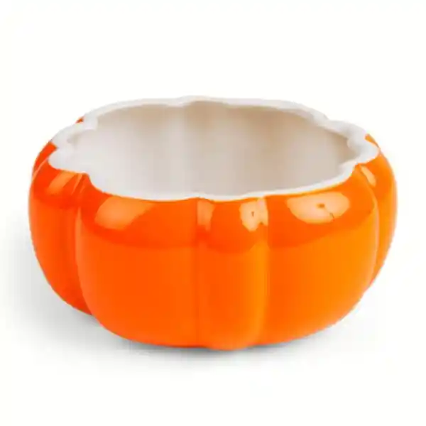 Bootique Bowl de Calabaza Perro o Gato