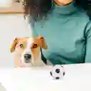 Juguete de Pelota Con Sonido Para Mascota Football Miniso