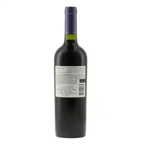 Errazuriz Vino Syrah Est Erraz Bot 750 cc