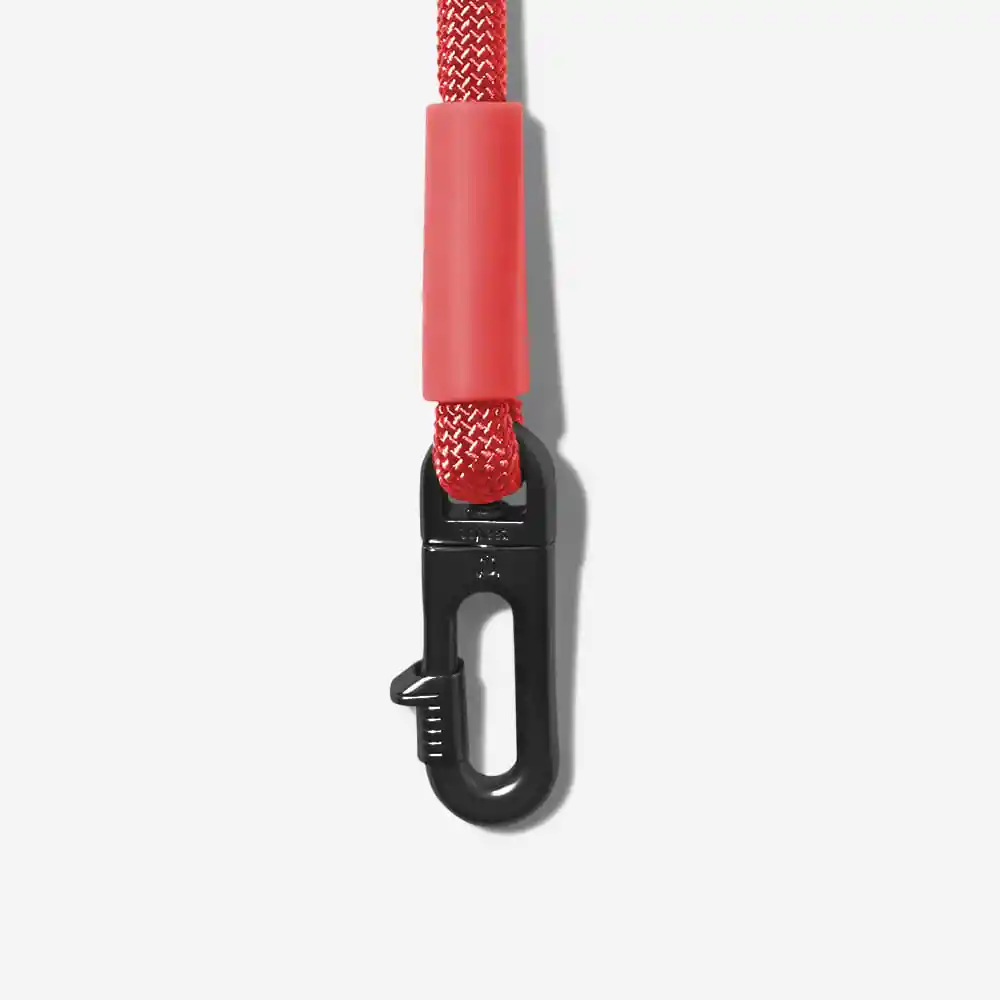 Neon Correa Neon Coral Hands Free Leash