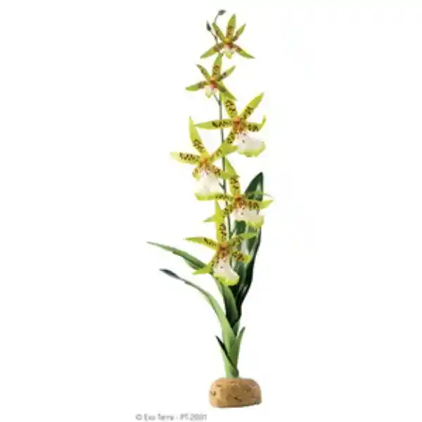 Exo Terra Decoración Orquídea  Reptiles