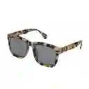 Lentes de Sol Lynch Cheetah Inztinto