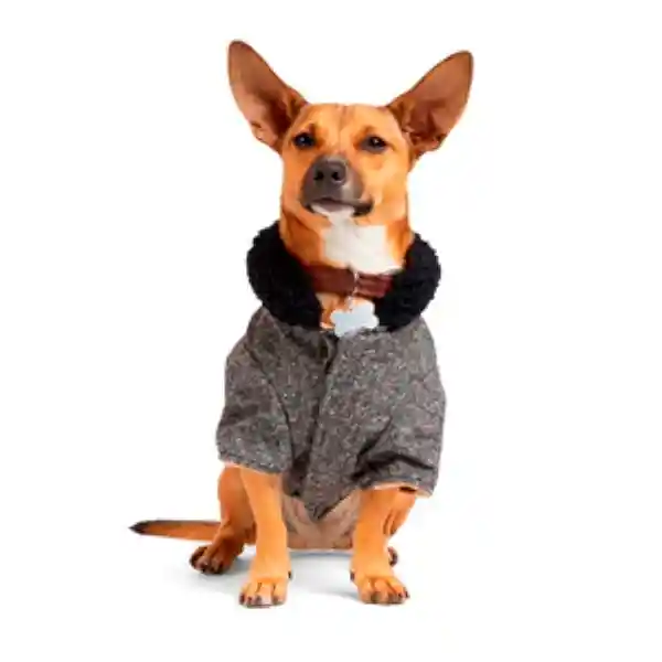 Reddy 4 Winter Chamarra Estilo Pana Gris  Perro XX-Grande