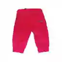 Pantalón Bebe Niño Rojo Pillin 3 a