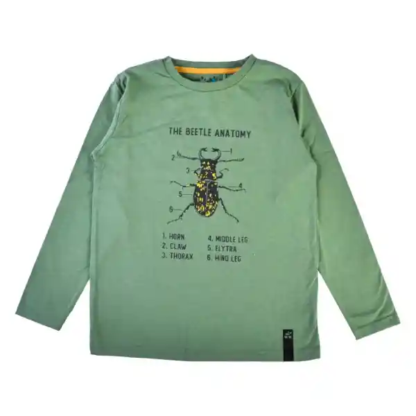 Polera Manga Cuello Redondo Niño Verde 12 Pillin