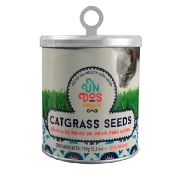 Un Dos Treats Semilla de Pasto de Trigo Para Gato Catgrass Seeds