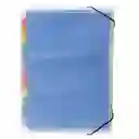 Carpeta Transp Con Fuelles De Colores