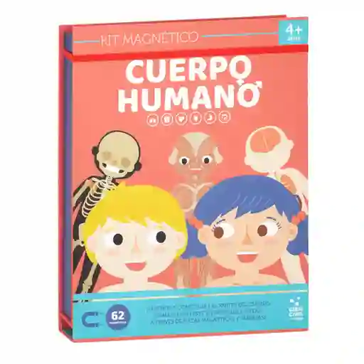 Juguete Cuerpo Humano Magnético