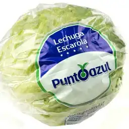 Punto Azul Lechuga Escarola