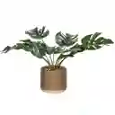 Planta Con Maceta 18 x 34 cm Casaideas