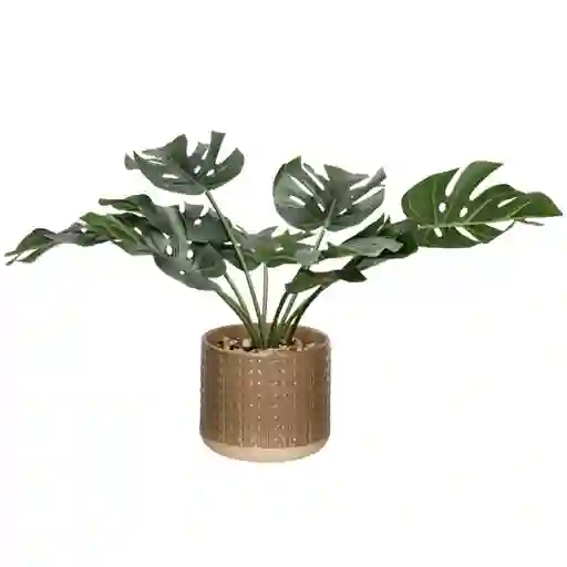 Planta Con Maceta 18 x 34 cm Casaideas