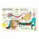 Descubre el Cuerpo Humano