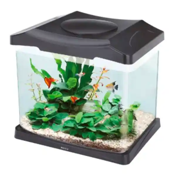 Boyu Acuario Curvo Equipado 32 cm x 30 cm x 23 cm