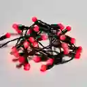 Guirnalda Con 30 Luces Led Multicolor Casaideas