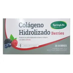  Springlife Suplemento Dietario Colageno Hidrolizado Sabor Berries 