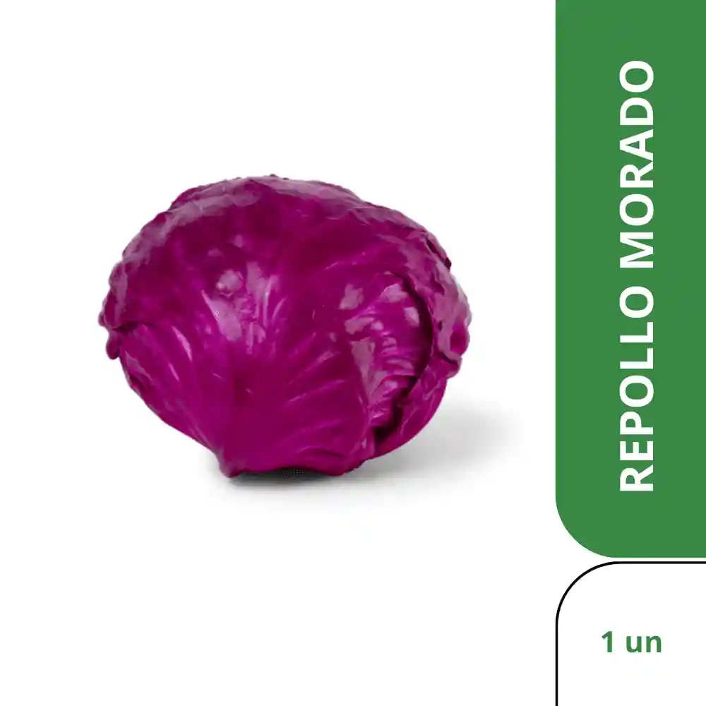 Repollo Morado