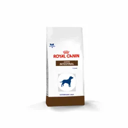 Royal Canin Alimento para Perro Adulto Gastrointestinal
