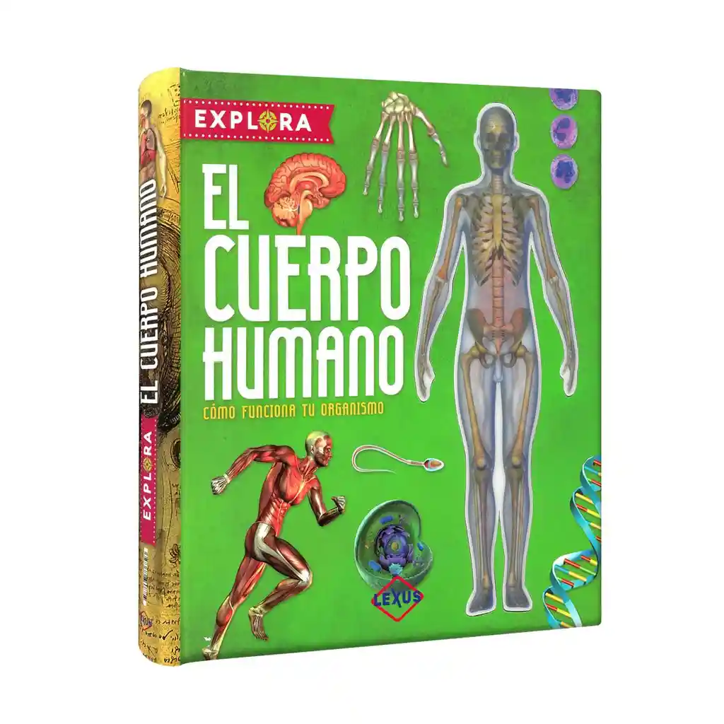 Explora el Cuerpo Humano