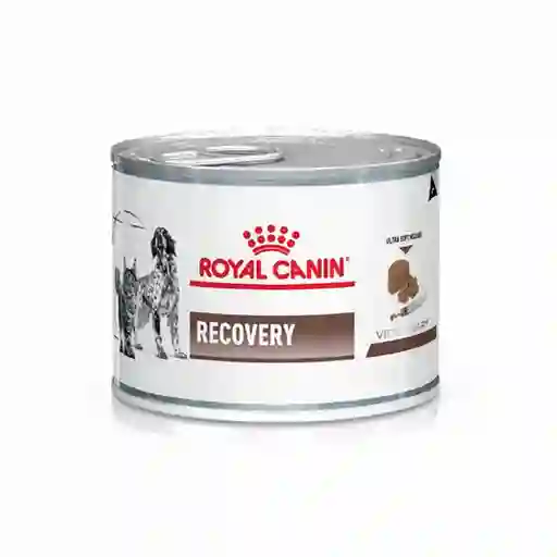 Royal Canin Alimento Húmedo para Perro y Gato Recovery