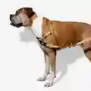 Zeedog Arnés Soft Walk Sand Small