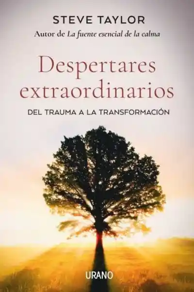 Despertares Extraordinarios - Taylor Steven