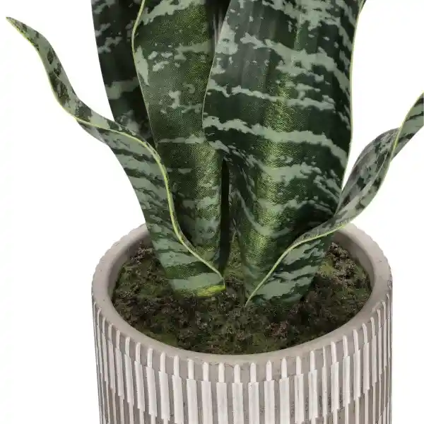 Suculenta Alta Con Maceta 25 x 43 cm Casaideas