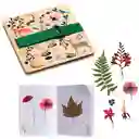 Djeco Design by Prensa de Flores Botánica