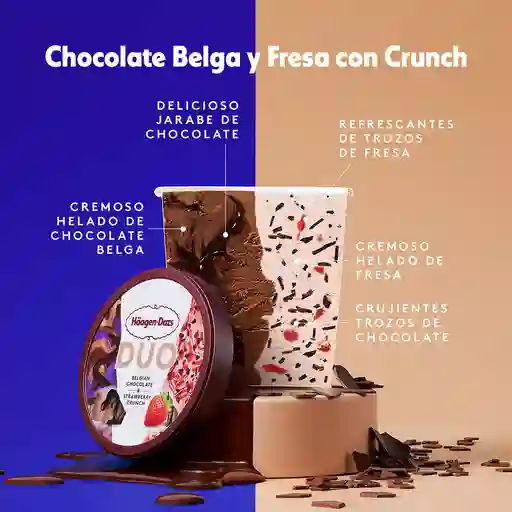 Haagen-Dazs Helado Duo Chocolate Belga y Frutilla Crujiente