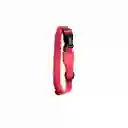 Zee.Dog Collar Neon Coral Large