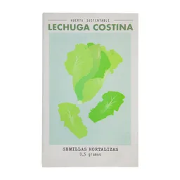 Semilla Hortalizas Lechuga Costina 0