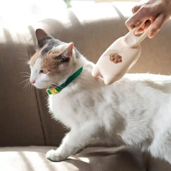 Cepillo Eléctrico Para Mascotas Con Vapor Casaideas