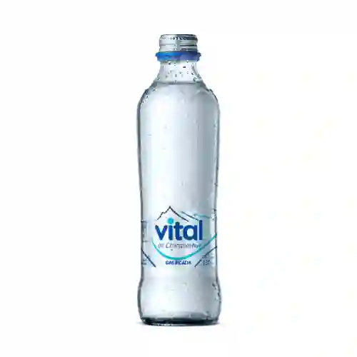 Vital Gasificada