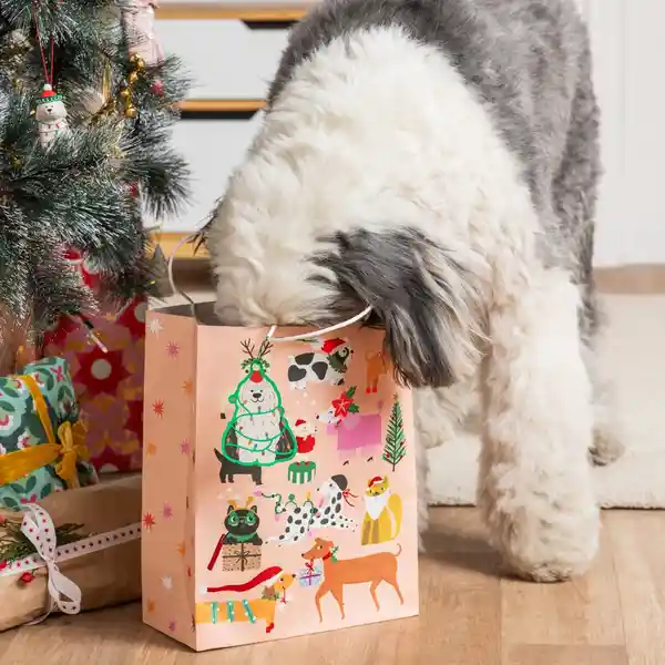 Set de Bolsa de Papel Para Regalo Casaideas
