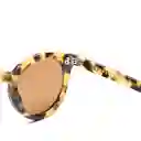 Lentes de Sol Akira Cheetah Brown Inztinto