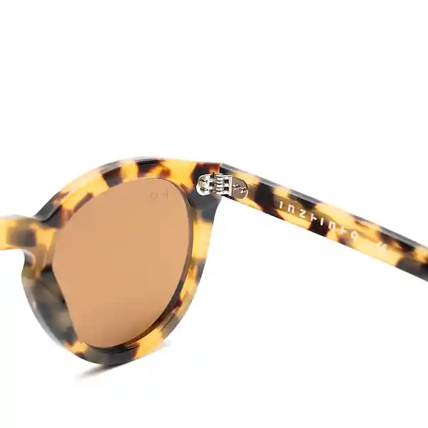 Lentes de Sol Akira Cheetah Brown Inztinto