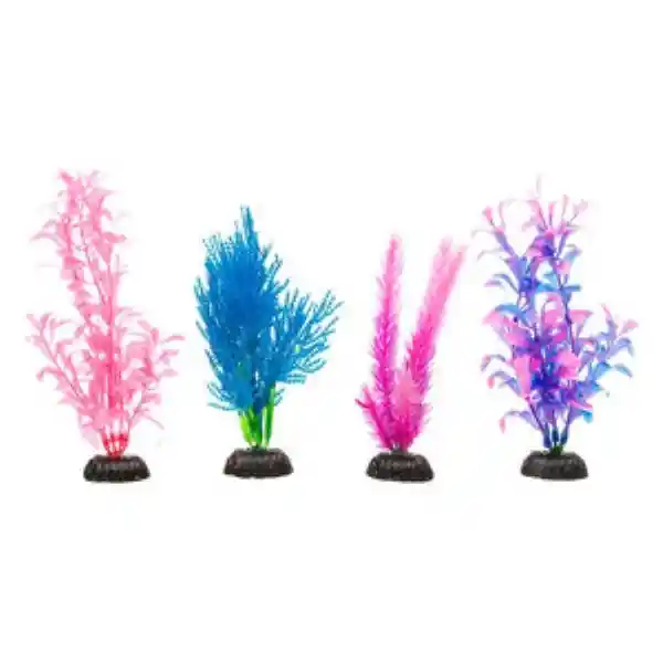 Imagitarium Plantas Fluorescentes  Acuario