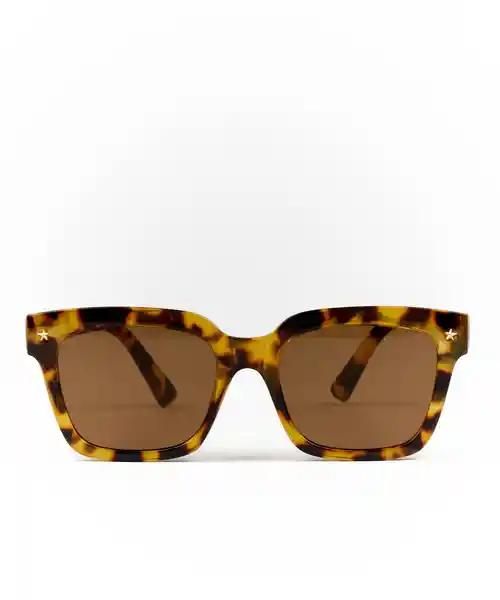 Lounge Lentes Cuadrado Carey