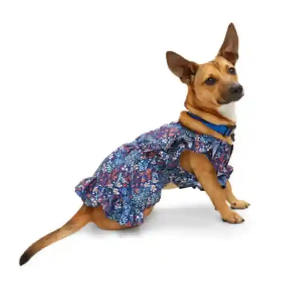 Youly Vestido Floral Azul Marino Para Perro XX-Chico