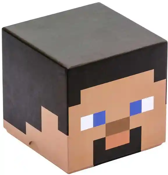 Minecraft Set Steve Block Stationery