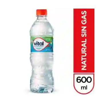 Agua Mineral Vital Sin Gas 600 ml