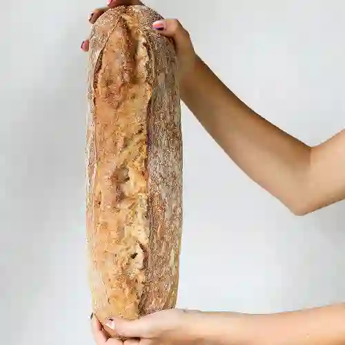 Pan Ciabatta