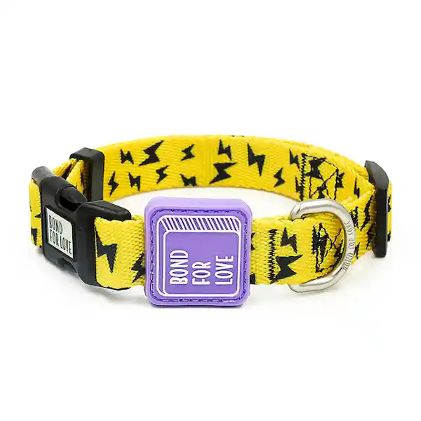 Ispet Collar Para Mascota Rayo S