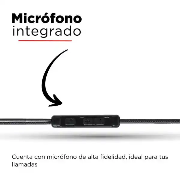 Miniso Audífonos Jack Dorado y Negro