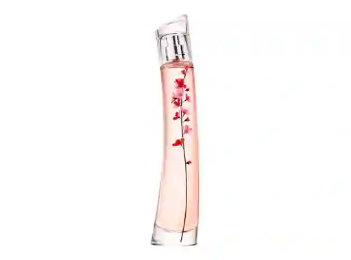 Kenzo Perfume Flower Ikebana Mujer