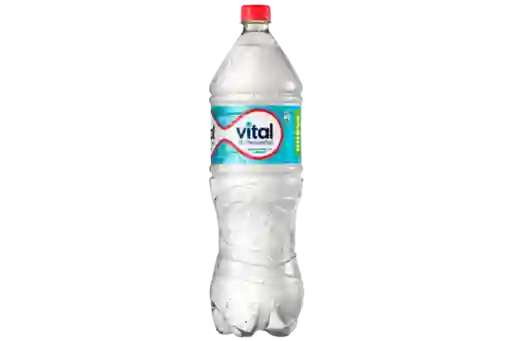 Agua Vital Sin Gas 1.6L