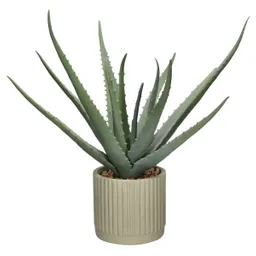 Cactus Con Maceta 27 x 40 cm Casaideas