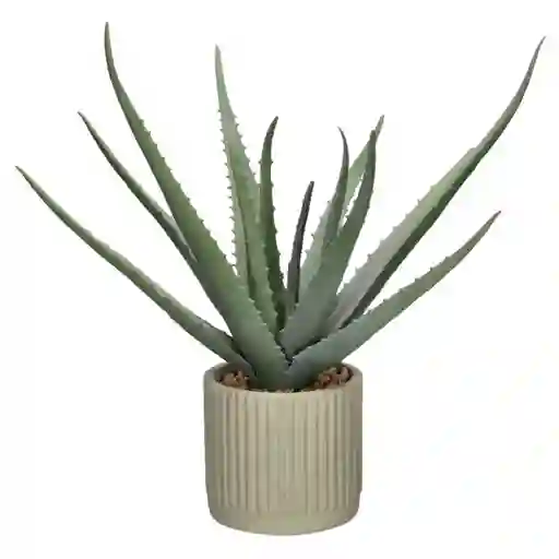 Cactus Con Maceta 27 x 40 cm Casaideas