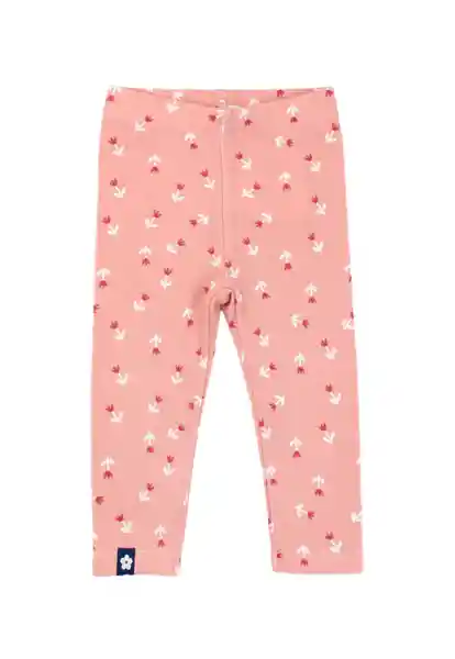 Leggins Tejida Arctic 198 Bebé Niña Rosa 12 a 18 Meses Ficcus